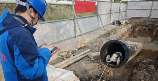 1764054186114899.png image.png